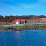 bakgrunn